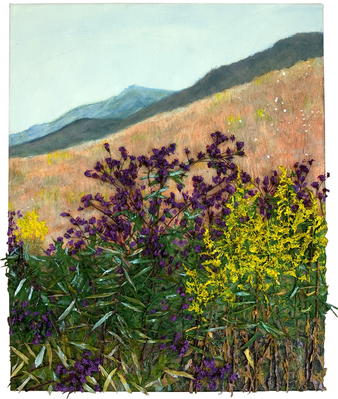 Ironweed with Goldenrod